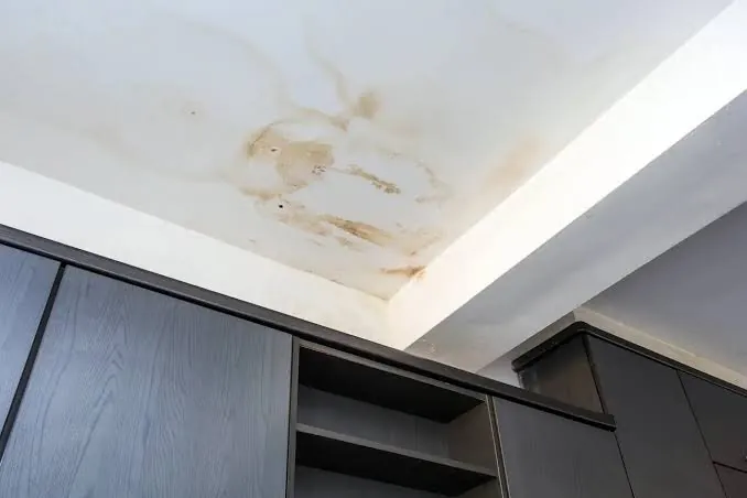 Expert Mold Remediation & Removal Services by Prime Water Damage Restoration